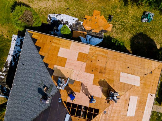 Best Residential Roofing Contractor  in Mallory, WV