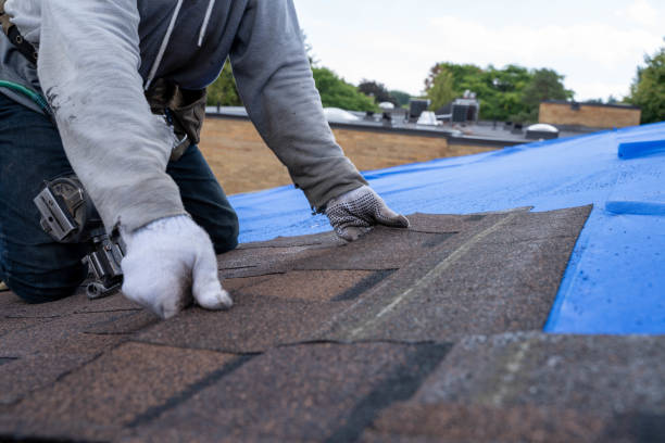 Best Roof Leak Repair  in Mallory, WV