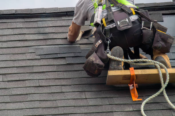Best Storm Damage Roof Repair  in Mallory, WV