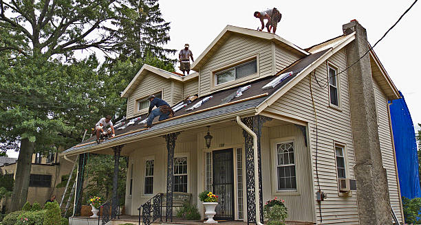 Best Tile Roofing Contractor  in Mallory, WV