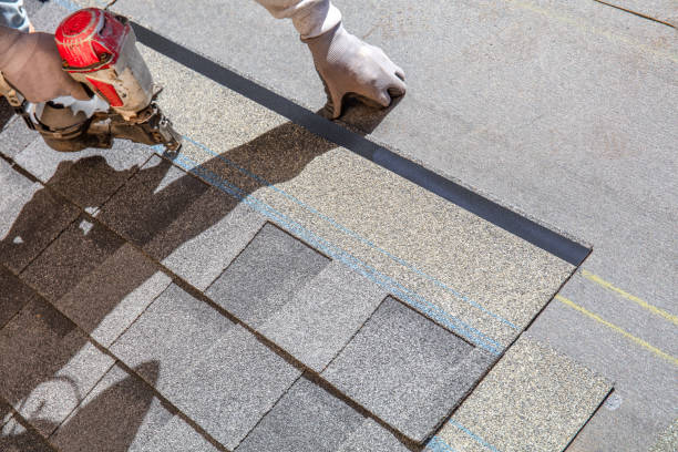 Best Local Roofing Companies  in Mallory, WV